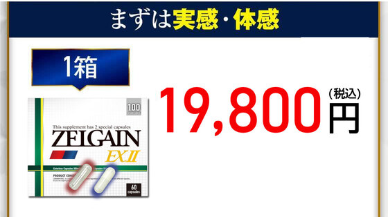 ZELGAIN EXⅡ 1箱 19,800円（税込）
