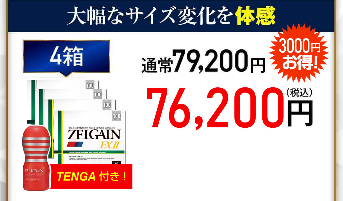 ZELGAIN EXⅡ 4箱 76,200円（税込）3000円お得