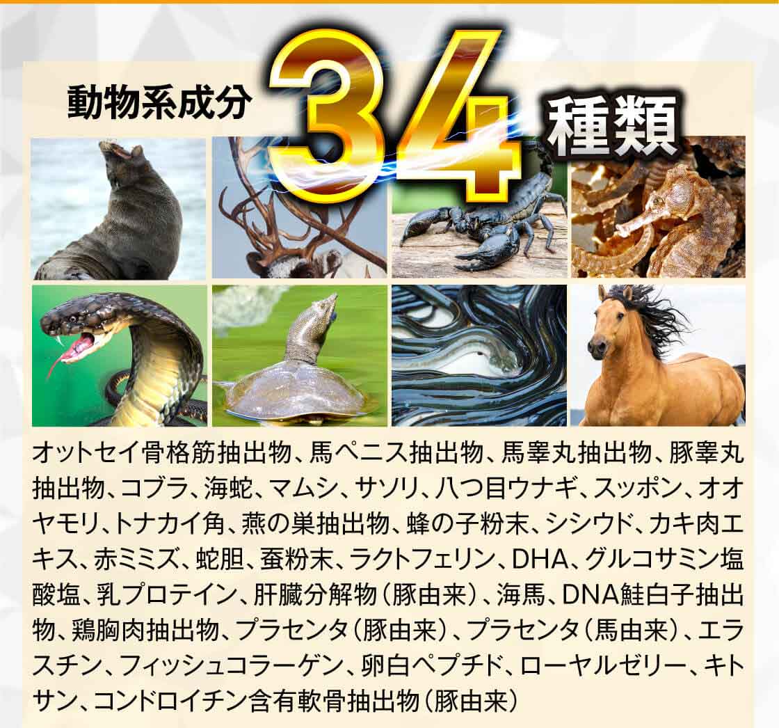 ZELGAIN EXの動物系成分34種類
