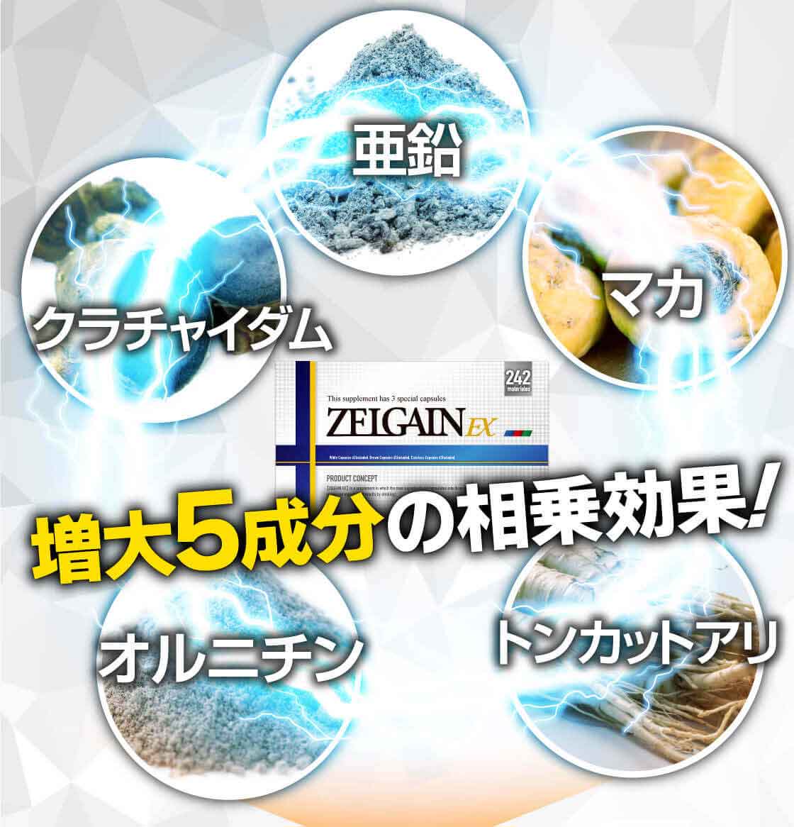 ZELGAIN EX 増大5成分説明